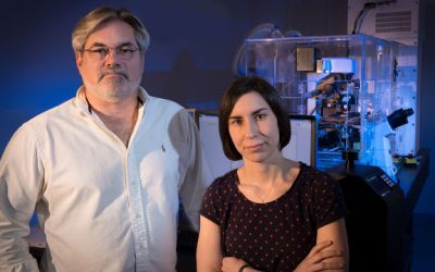 Identifican una proteína que puede ser clave para tratar trastornos neurodegenerativos