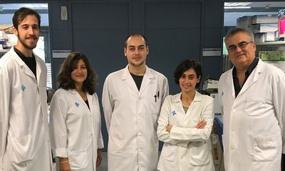 “Terapia génica basada en virus adenoasociados para la Ataxia de Friedreich”. Proyecto seleccionado por Caixa Impulse
