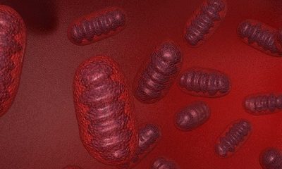 La medición de la capacidad mitocondrial en la ataxia de Friedreich