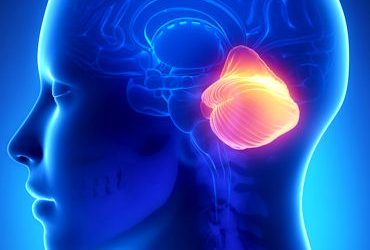 Un estabilizador propioceptivo portátil para la rehabilitación de las extremidades y la ataxia de la marcha en ataxias cerebelosas hereditarias: Estudio piloto abierto