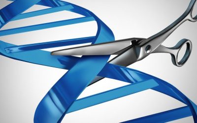 Los científicos usan la técnica de la edición génica para restablecer la producción de la proteína frataxina en ratones