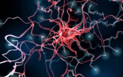 El papel de los astrocitos en los déficits cerebelares en la deficiencia de frataxina