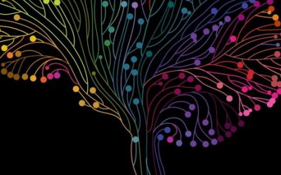 La pérdida cognitiva en la Ataxia de Friedreich está relacionada con anormalidades en áreas cerebrales no relacionadas con el movimiento