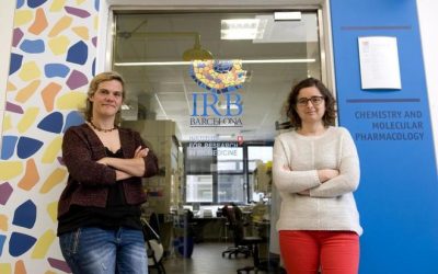 Proteínas como polizones al cerebro para tratar la ataxia de Friedreich