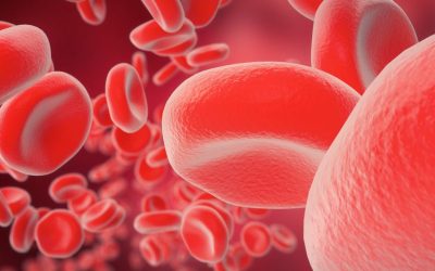 El metabolismo del hierro no juega ningún papel en el desarrollo de la Ataxia de Friedreich