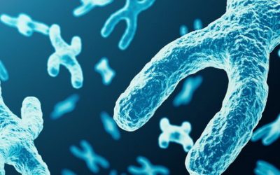 Inhibidores de HDAC una prometedora opción de tratamiento en la ataxia de Friedreich