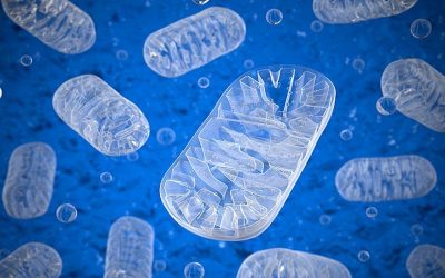 Potenciales medicamentos identificados ofrecen esperanza para pacientes con ataxia de Friedreich y enfermedades mitocondriales