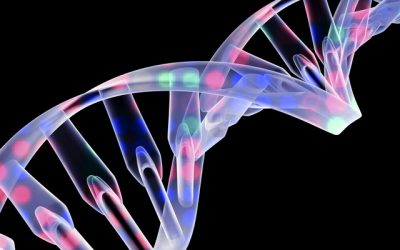 Un nuevo método analítico detecta de manera confiable los niveles de Frataxina