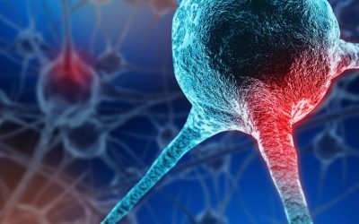 La activación de la proteína Nrf2 podría prevenir la degeneración de las células nerviosas en la ataxia de Friedreich