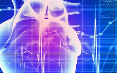 Los bajos niveles de proteína Nrf2 desempeñan un papel en el daño cardiaco por ataxia de Friedreich