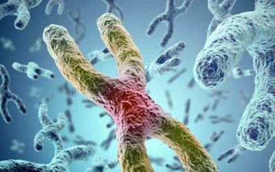 2ª parte del Ensayo Moxie para la ataxia Friedreich