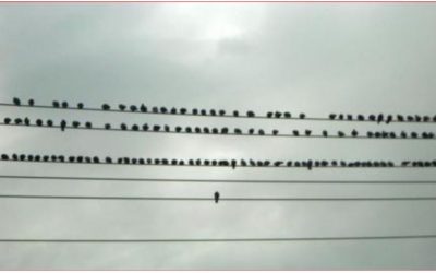 Pasa el tiempo y no pasa casi nada