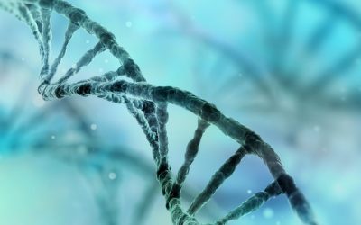 La terapia génica revierte completamente los cambios de ataxia de Friedreich