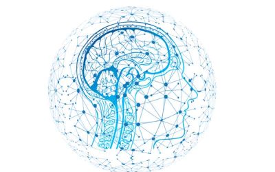 La hepcidina y su potencial terapéutico en los trastornos neurodegenerativos