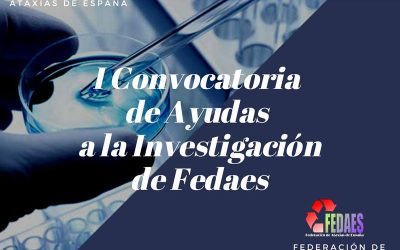 I Convocatoria de Ayudas a la Investigación de Fedaes