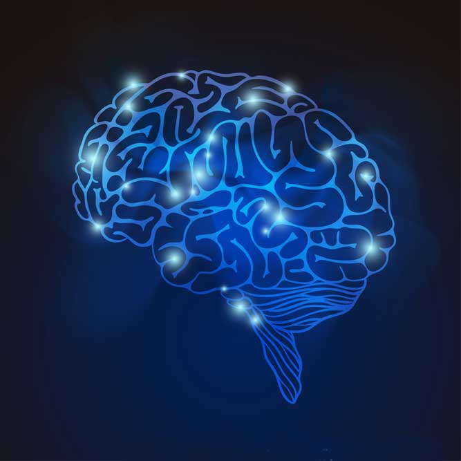 cerebro