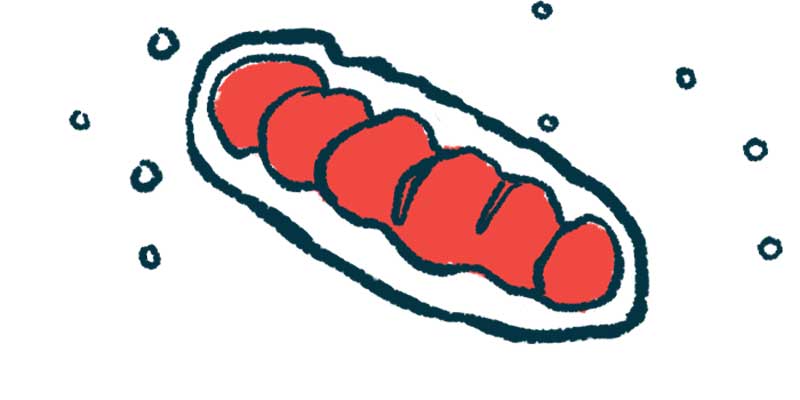 Adenosina mejora la función de las mitocondrias