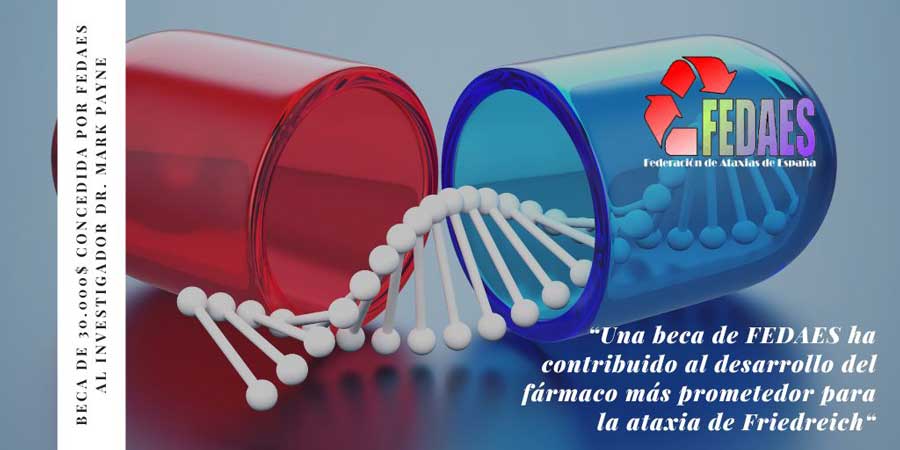 beca de FEDAES desarrollo Nomlabofusp